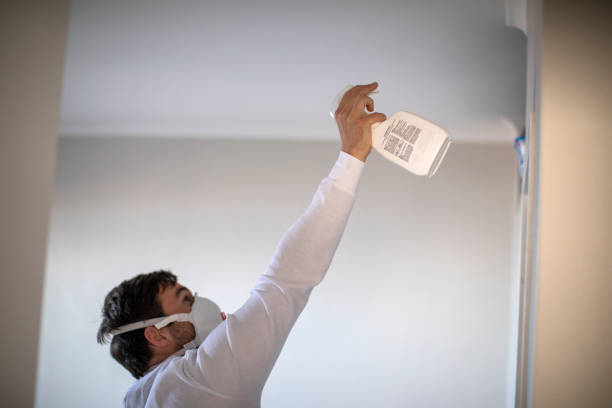 Best Mold Damage Repair  in Cheney, WA